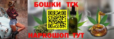 индика Дубна