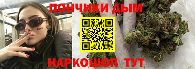 индика Дубна
