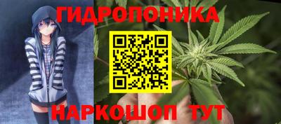 индика Дубна