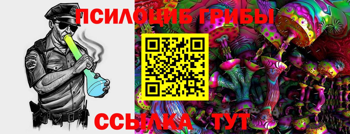 Галлюциногенные грибы GOLDEN TEACHER Ливны