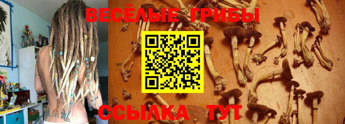 Псилоцибиновые грибы MAGIC MUSHROOMS  Вход с VPN  где купить наркоту  Ливны 
