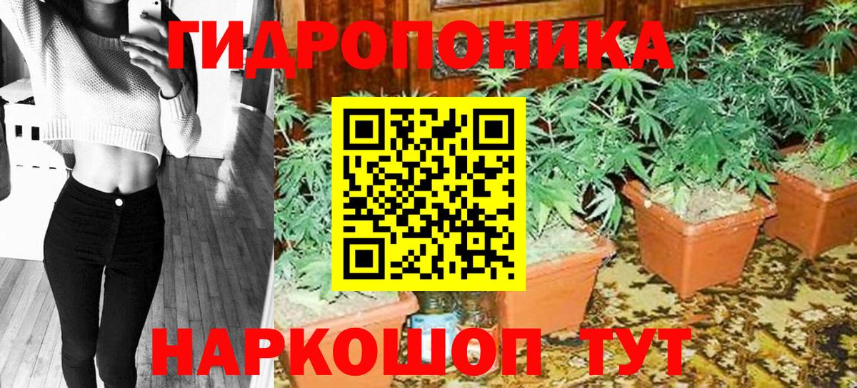 Ливны  Бошки марихуана OG Kush  Шишки марихуана план  Канабис LSD WEED  Вход с VPN 